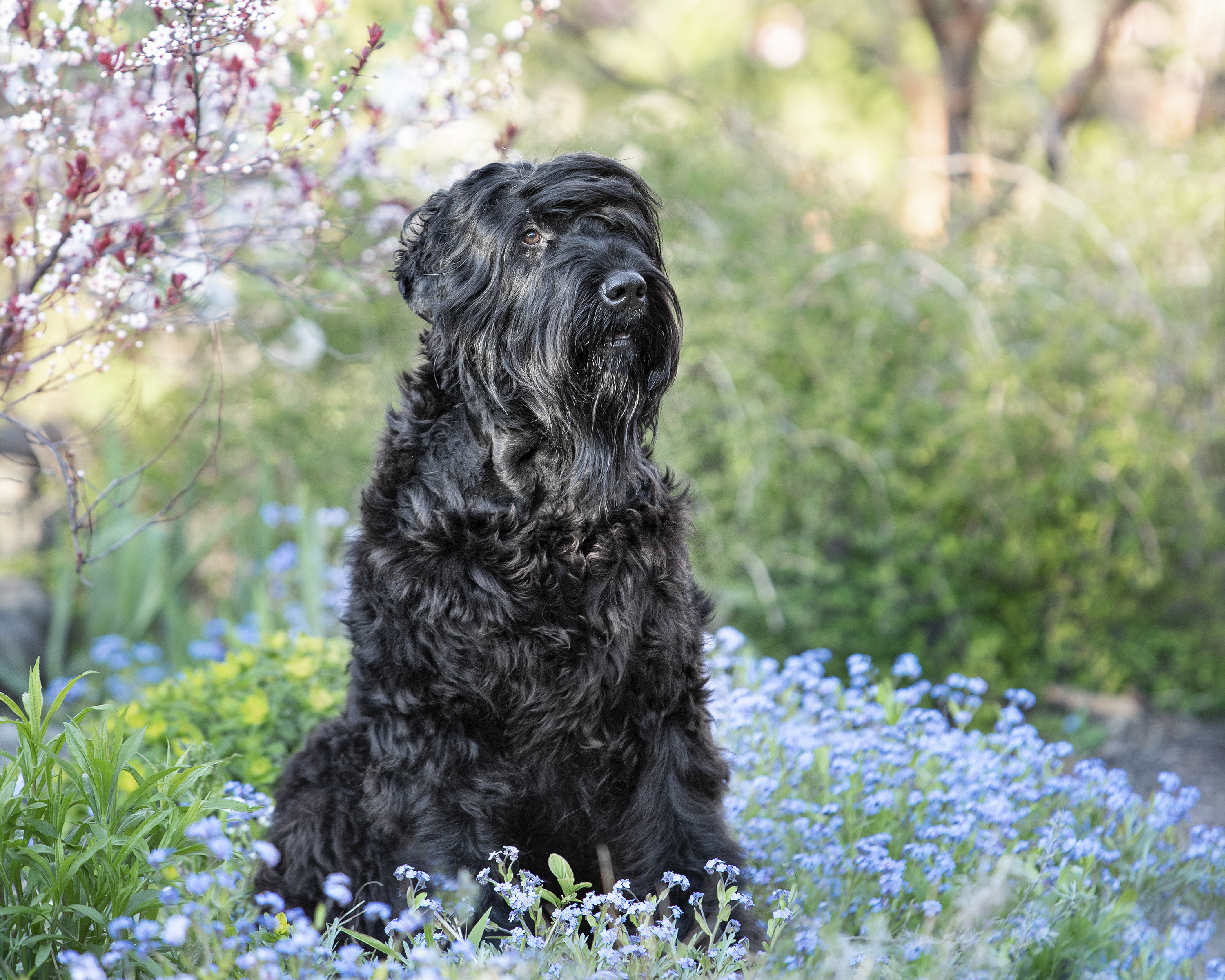 Slideshow sample 13